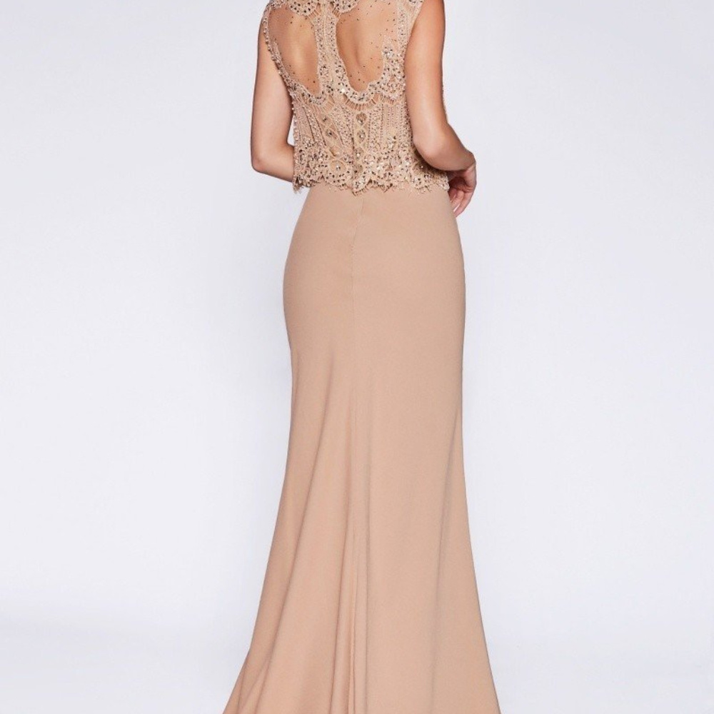 Illusion Neckline Mermaid Long Prom Dress CDSL767 - Picture 2 of 3